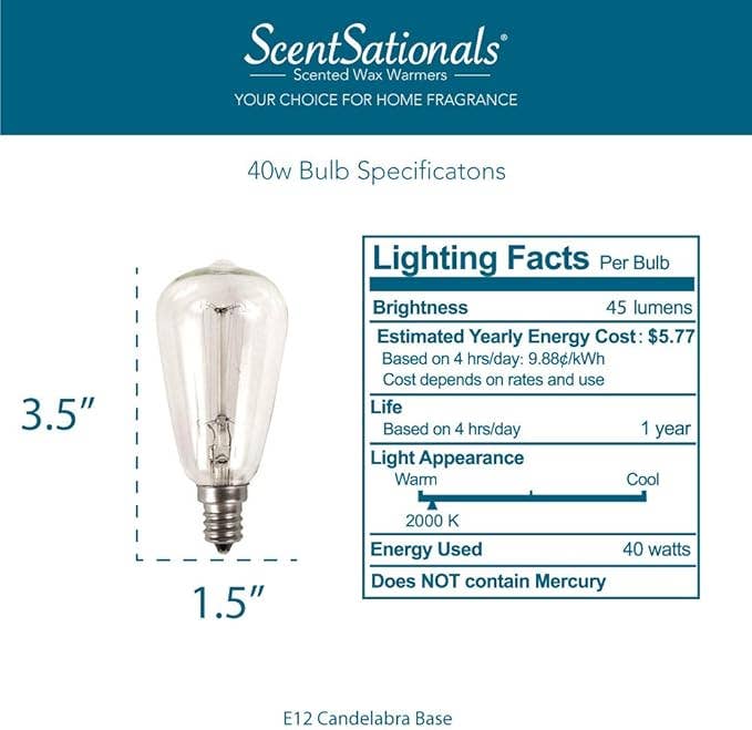 40 Watt Edison Warmer Replacement Bulb Fusion