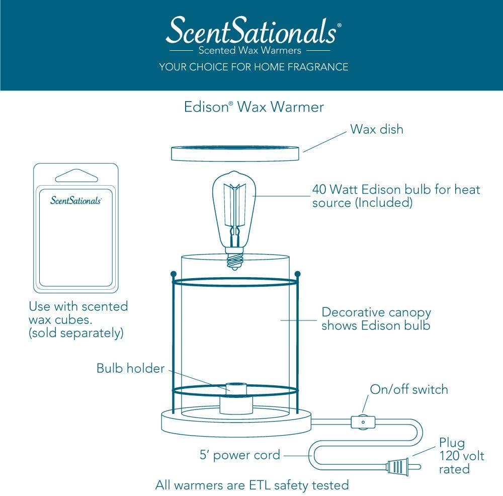40 Watt Edison Warmer Replacement Bulb Fusion