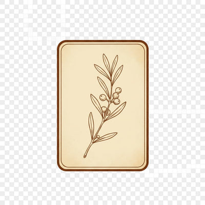 Illustration of a leaf in a square frame on a transparent background